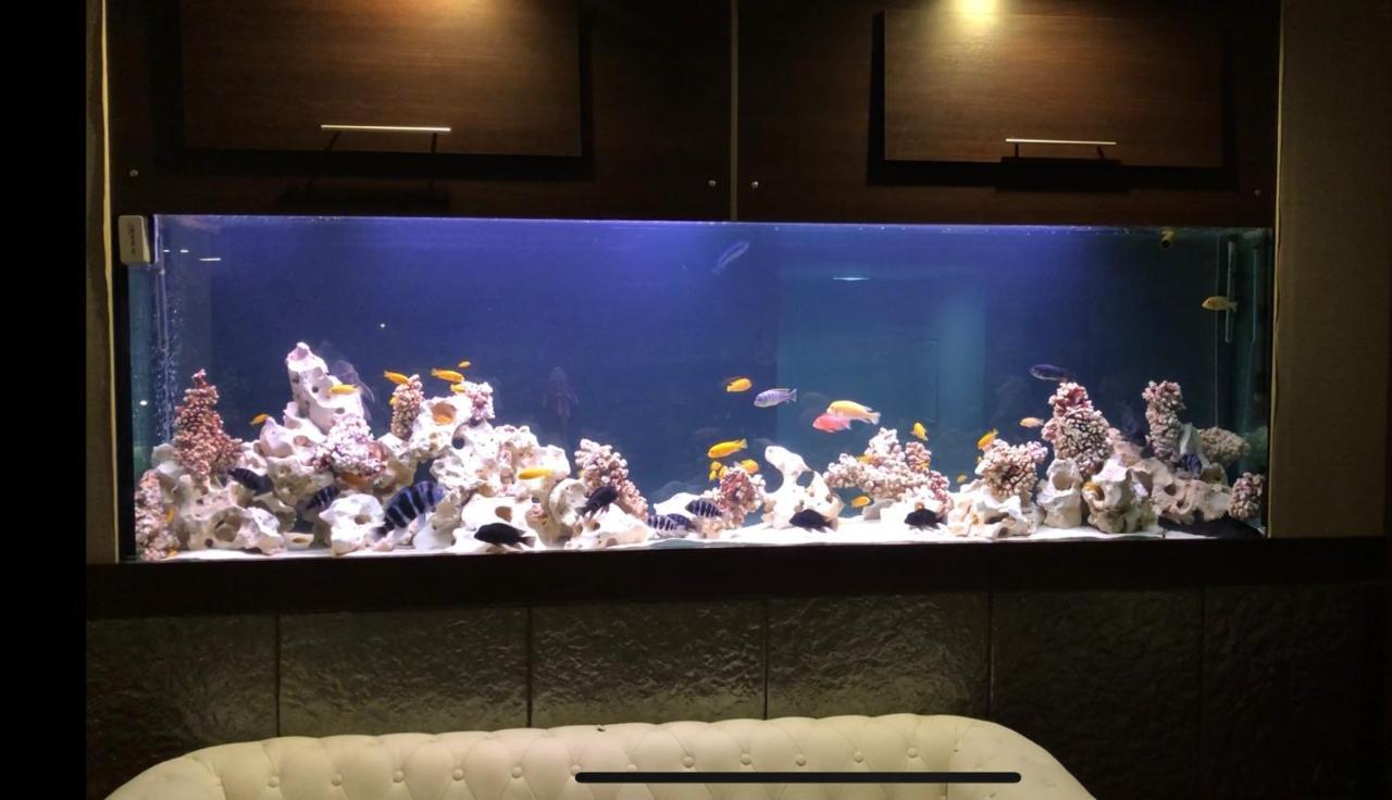 Hotel Amber Bay Augustów Zewnętrze zdjęcie